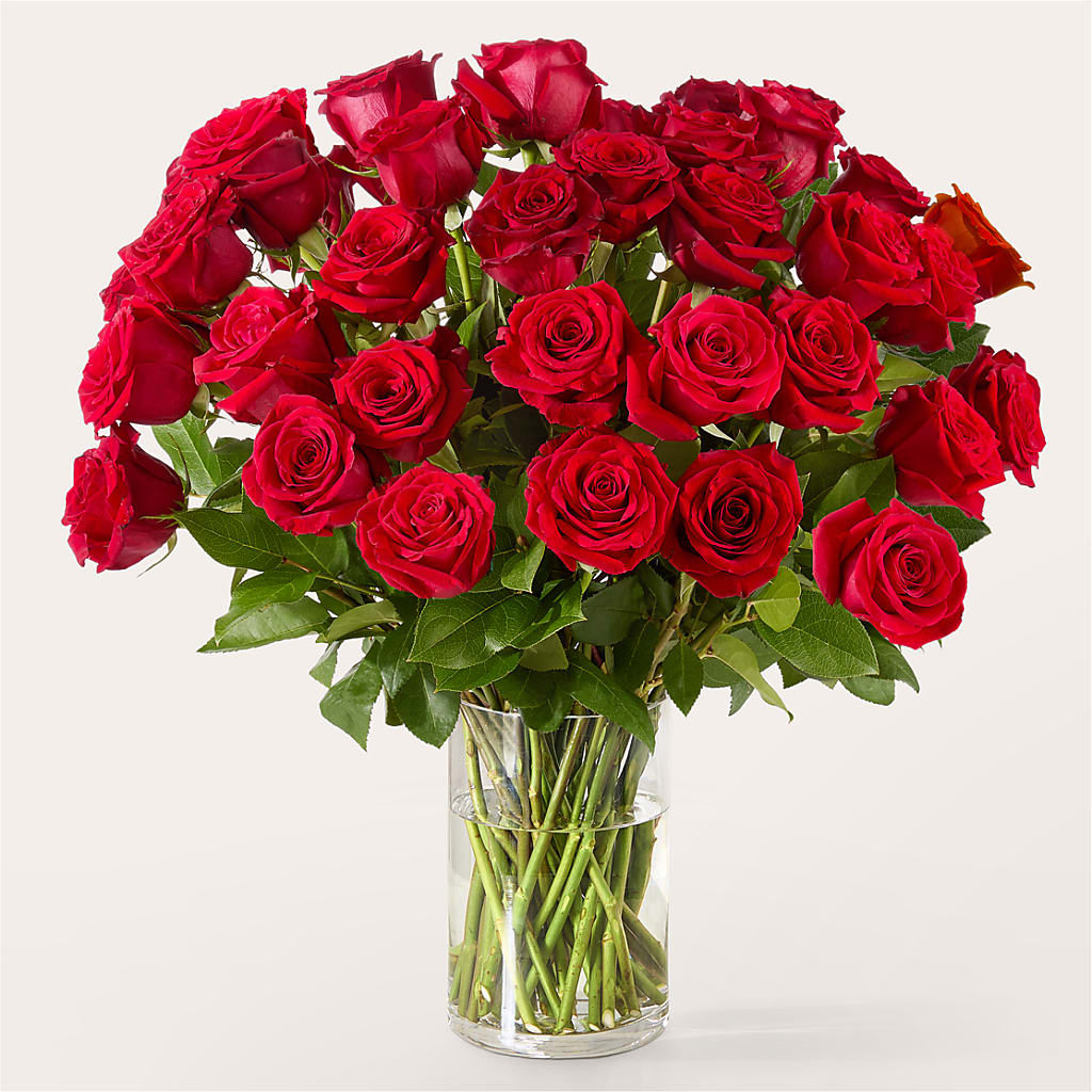 The One Red Rose Bouquet –  Colchester Florist, Colchester CT