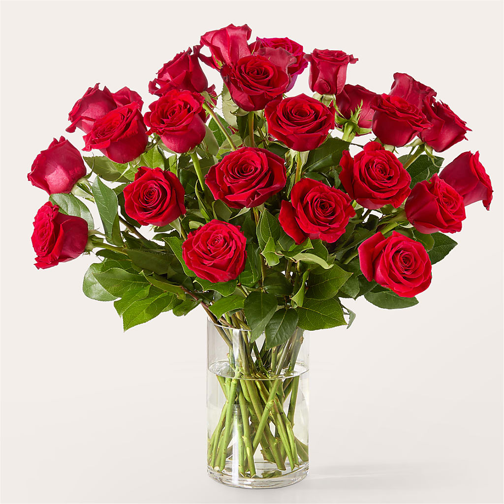 The One Red Rose Bouquet –  Colchester Florist, Colchester CT