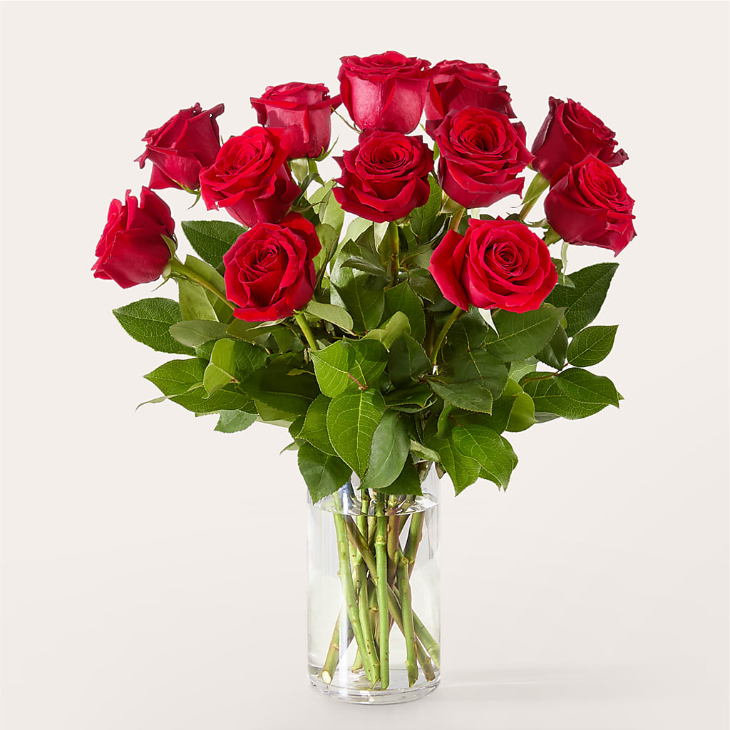 The One Red Rose Bouquet –  Colchester Florist, Colchester CT