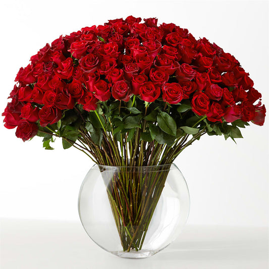 The Idealist –  Colchester Florist, Colchester CT