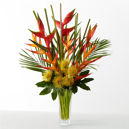 The Drama –  Colchester Florist, Colchester CT