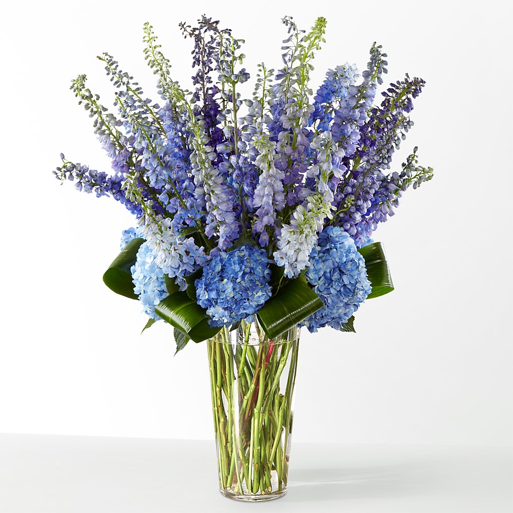 The Editorial –  Colchester Florist, Colchester CT