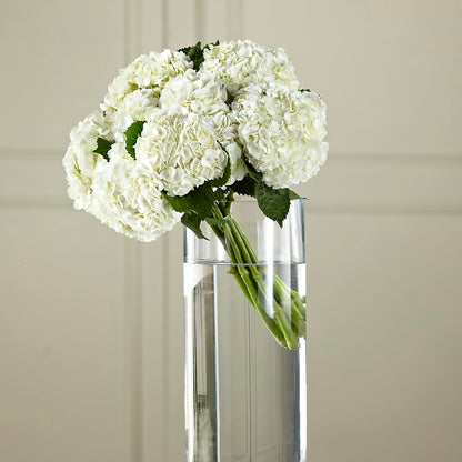 White Hydrangea Hand-Tied Bouquet –  Colchester Florist, Colchester CT