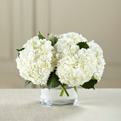 White Hydrangea Bouquet –  Colchester Florist, Colchester CT