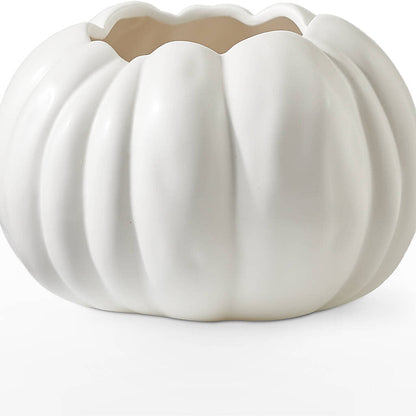 Autumn Air Pumpkin Bouquet –  Colchester Florist, Colchester CT